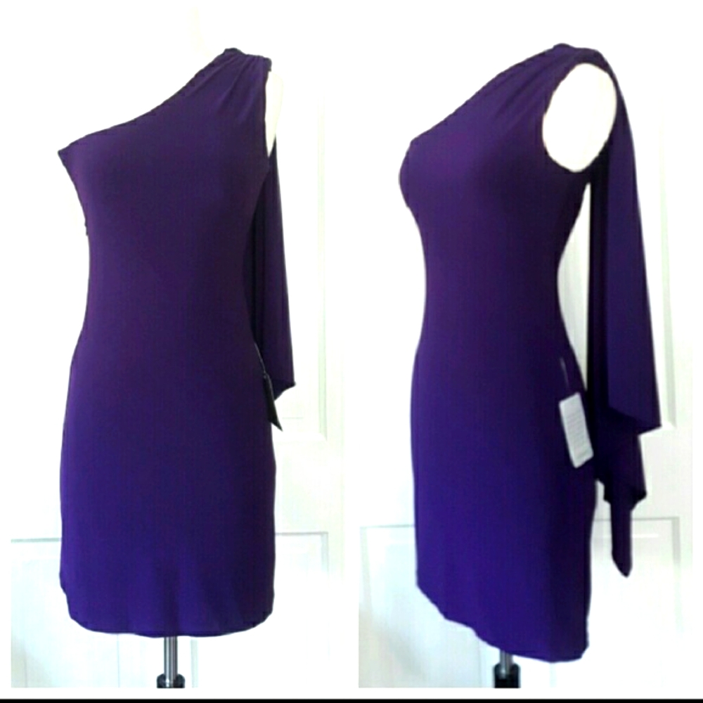 🍷Badgley Mishka Dress - Picture 1 of 4